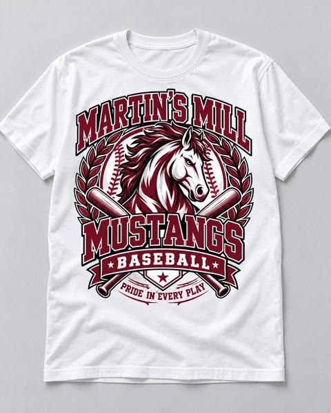 Martins Mill High School Baseball, Teenage option 3